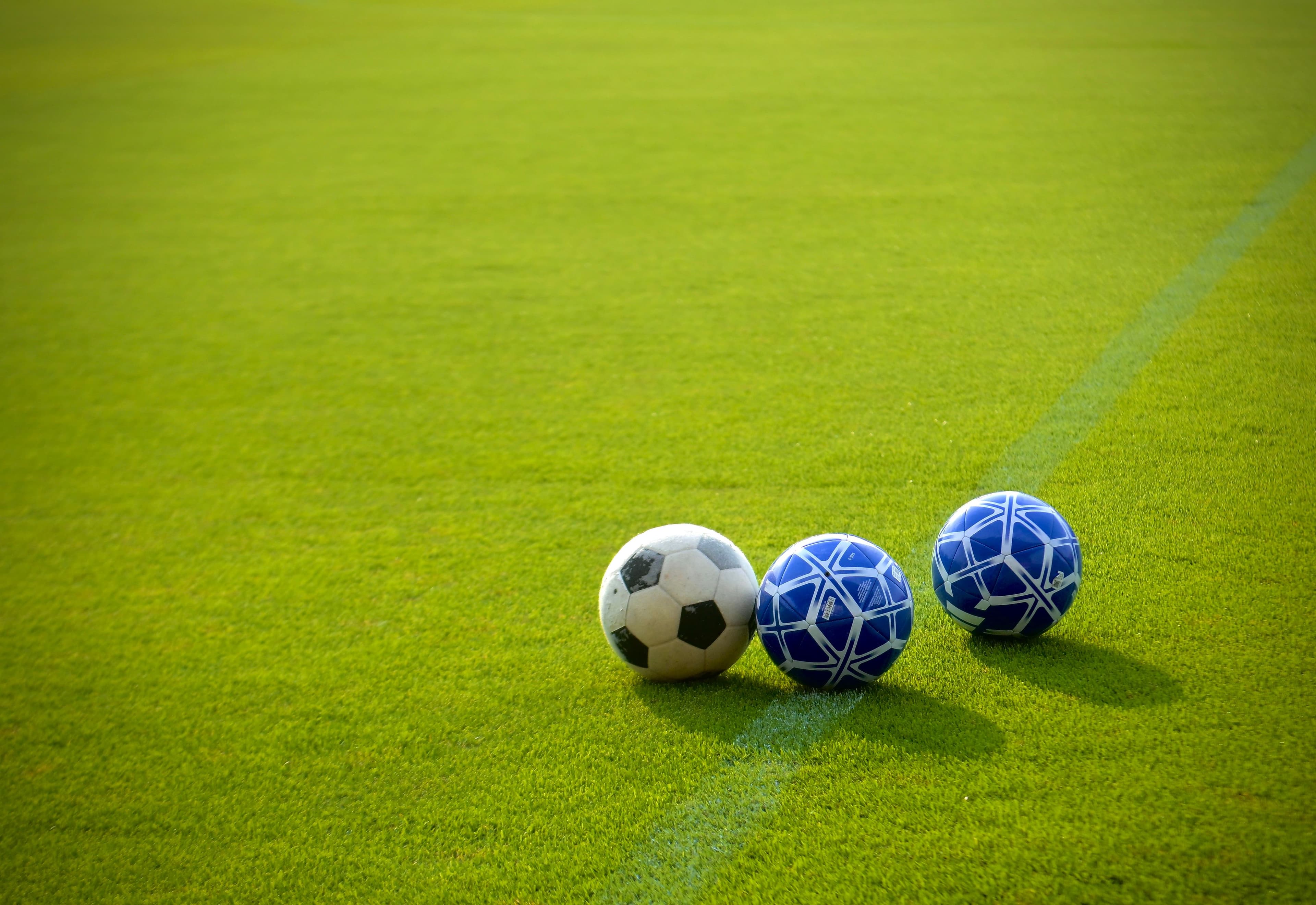 Match ball resting in the grass