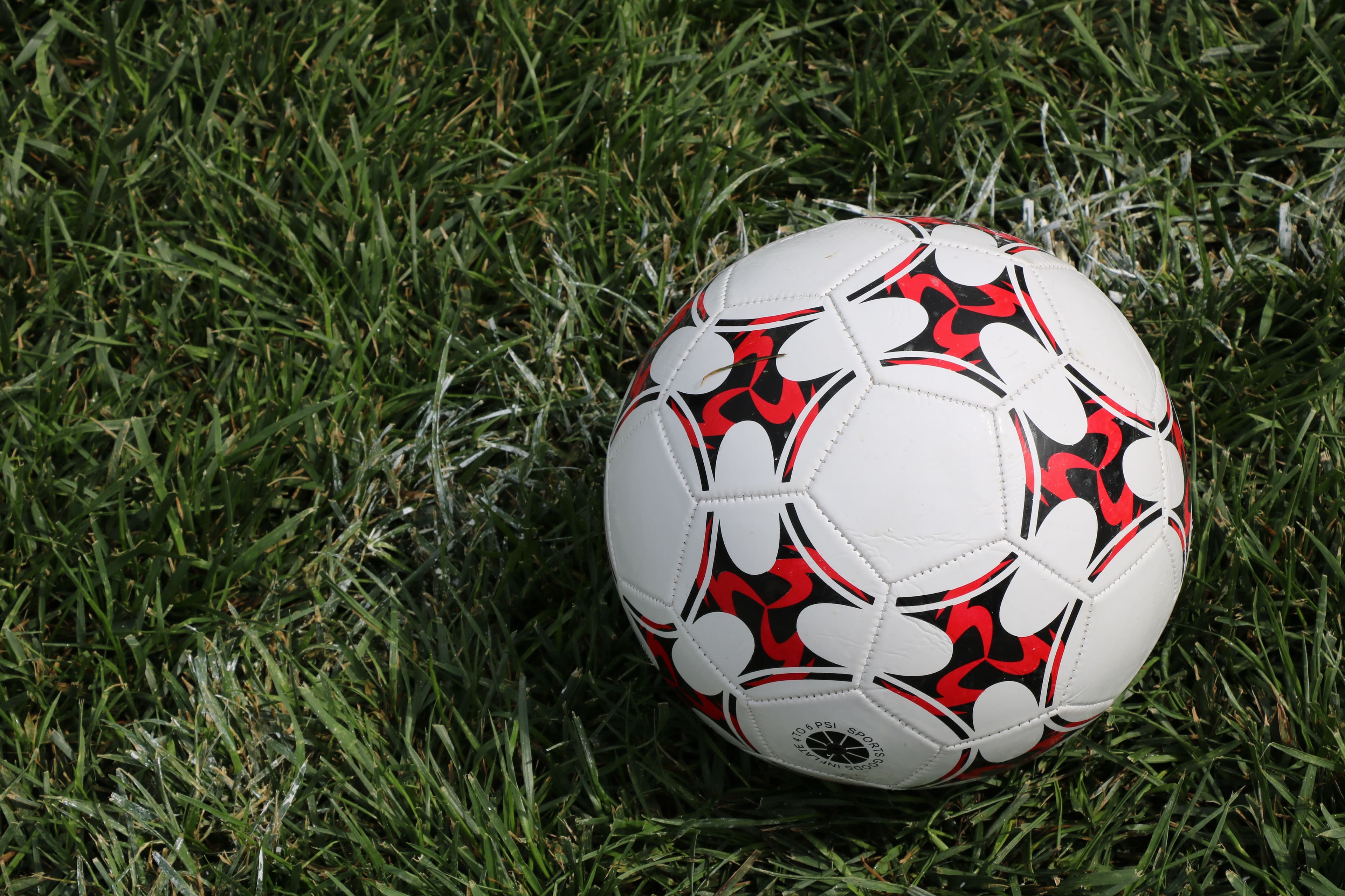 Classic players training with Palm Beach Athletic